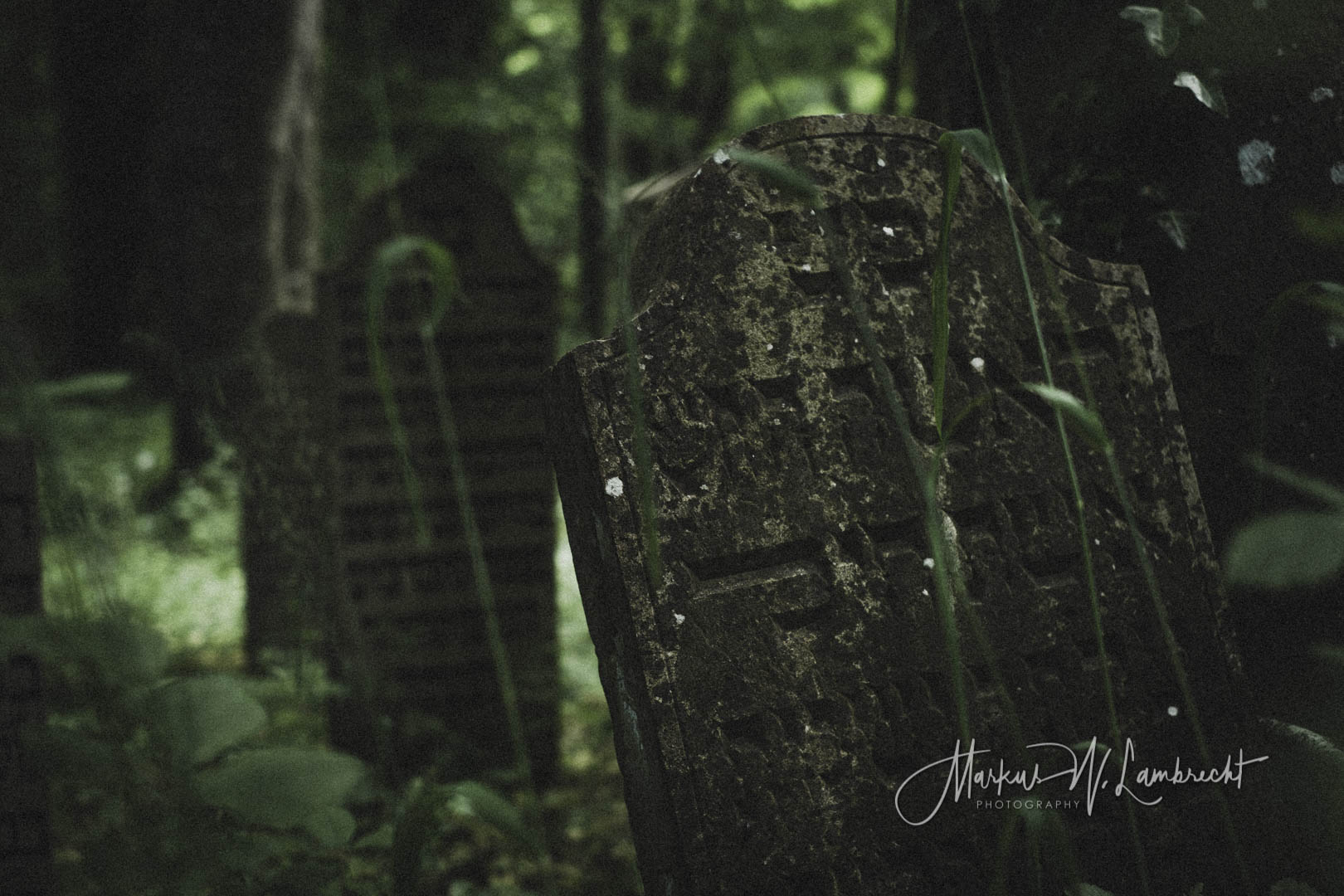 Niederhof (Sundhagen), Jüdischer Friedhof